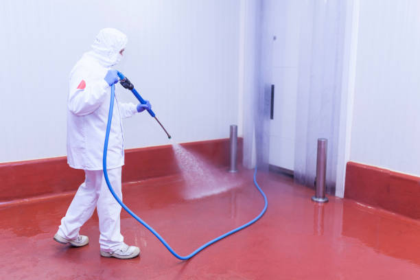 Best Gutter Cleaning and Brightening in West Babylon, NY